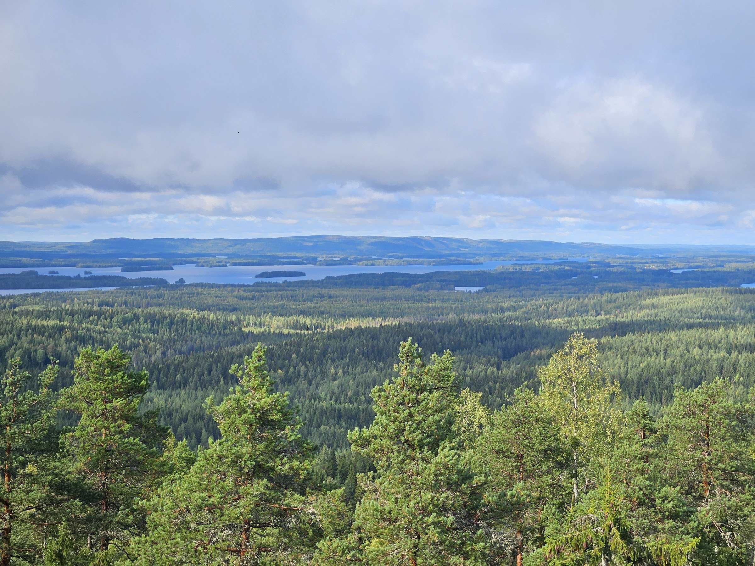 Pisa Nature Preserve (Pisan luonnonsuojelualue)